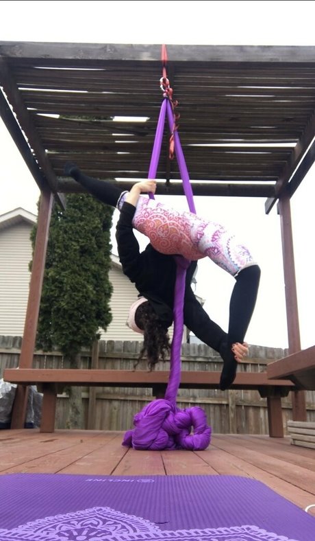 flexiblefun HDモデル 写真