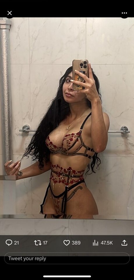 reversecowgrl69 アートスター アーカイブ