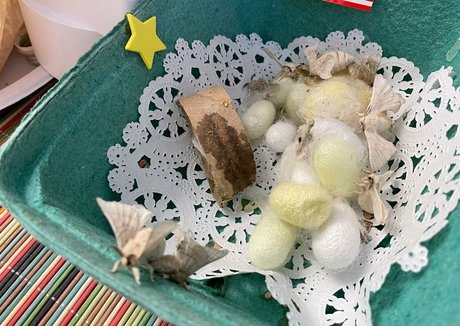 69フェラチオOnlyFans 無料ポルノ 写真