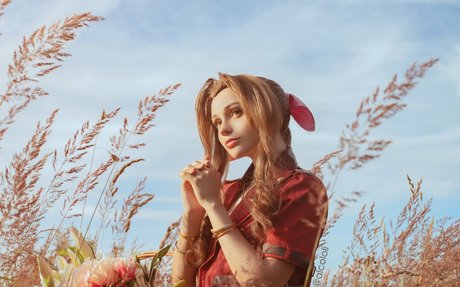 Alcololi HDスター 写真