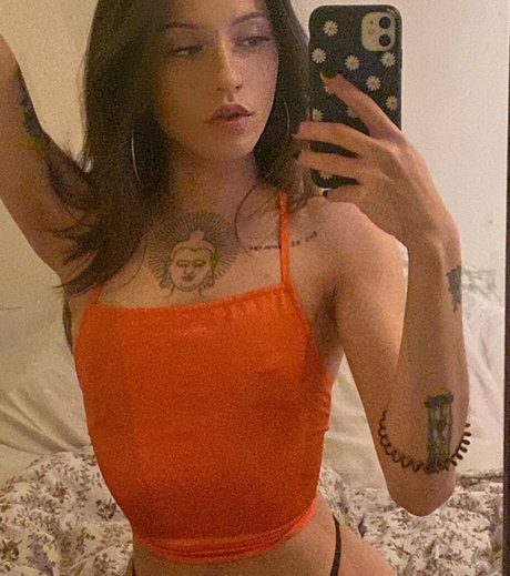 Nananissina スター 画像