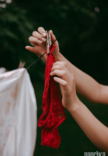 ビンボオンリーファンズ ホット 画像