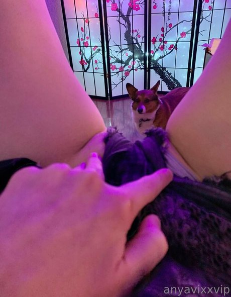 AnyaVixx エロティック女優 画像