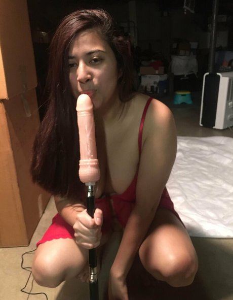 devilishdaisy profile image