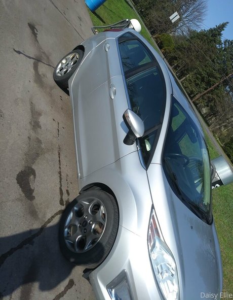 ホットな裸のOnlyFans 美しいポルノ アーカイブ