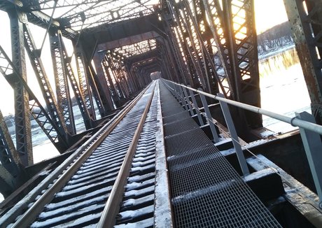 devilishdaisy スター 写真