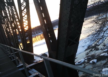 devilishdaisy 無料モデル 写真