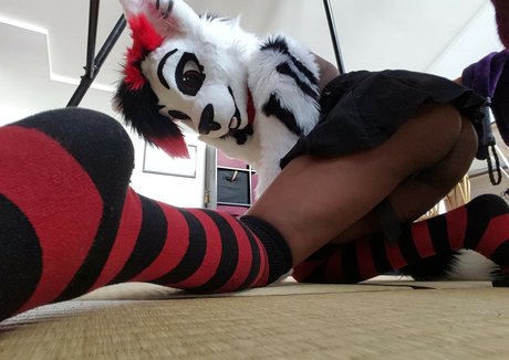 Murrsuit ポルノスター 画像