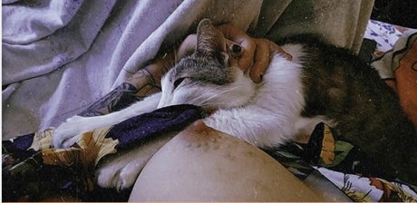 Hurona Rolera エロティックなポルノスター 写真