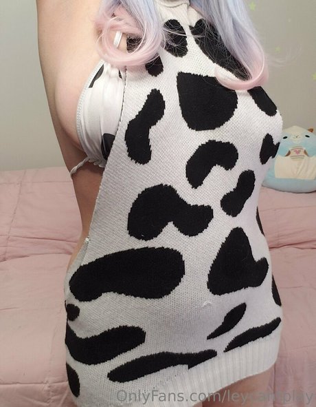 トゥワークオンリーファン ベスト 写真