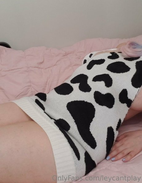 ナイロン足 OnlyFans セクシー 写真