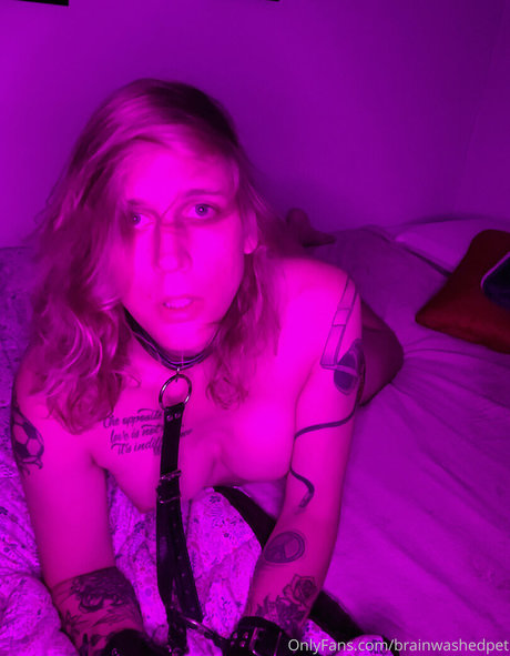 brainwashedpet ヌードのポルノスター 写真