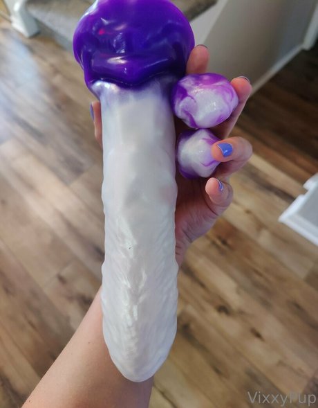 vixxypup 美しいモデル 画像