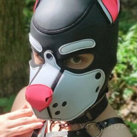 vixxypup 完璧な女優 写真