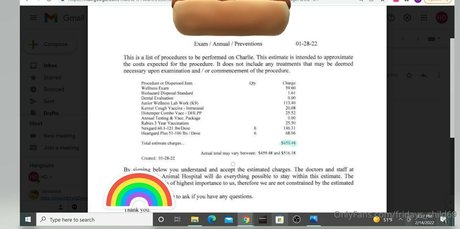 女子高生OnlyFans 美しい 写真