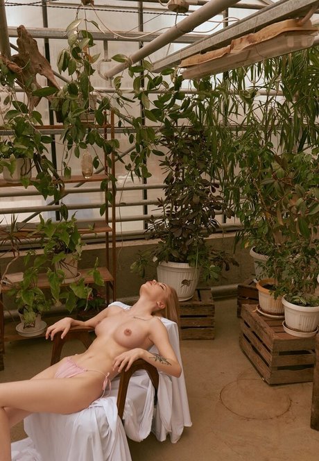 Kootovva エロティックなスター 写真