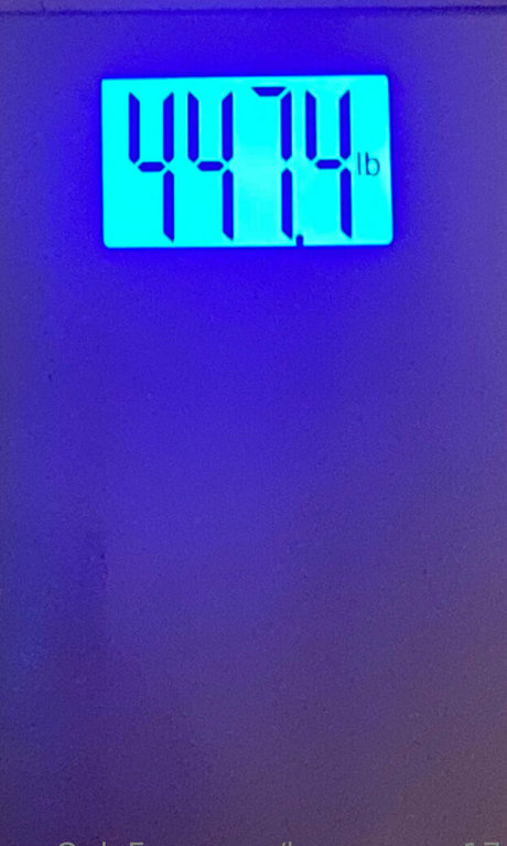 honeycow 17 xxxスター 写真