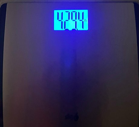 honeycow 17 無料スター 画像