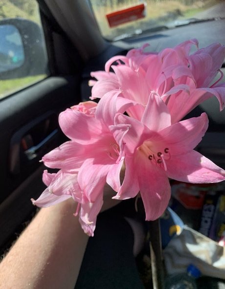 dirtymisstresspaige ヌードモデル 写真