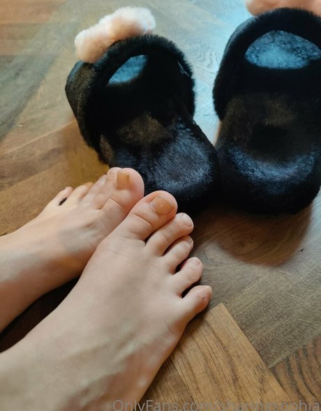 sharingsophia 独占ポルノスター 写真