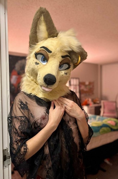 アナルビデオOnlyFans パーフェクト 写真