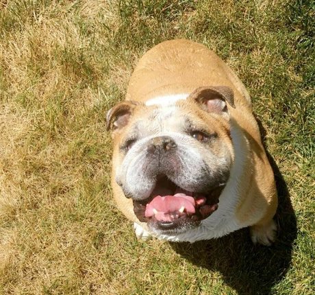 Courtney Craib ポルノスター アート 写真