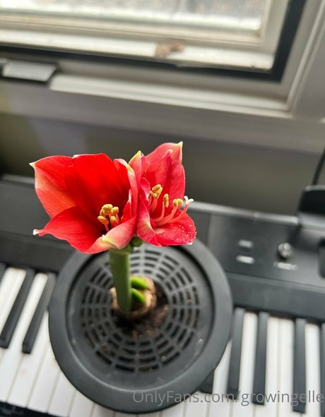 asmr ナース onlyfans ホットxxx 写真