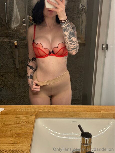 NikkyDandelion セクシーモデル 画像