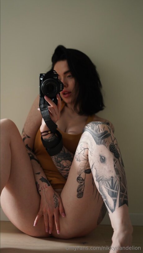 NikkyDandelion 美しいスター 写真