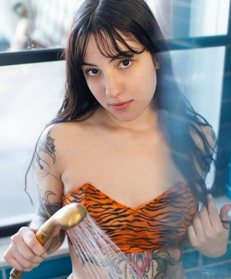 vaegasuicide セクシーなスター 写真