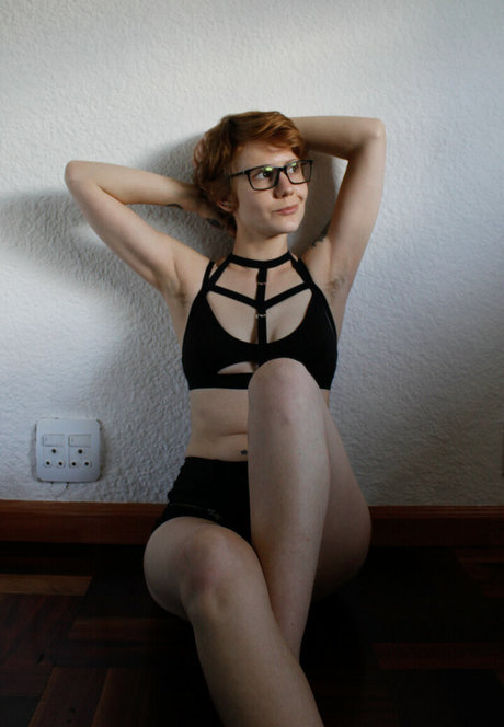 stretchykitten 高品質のスター 画像