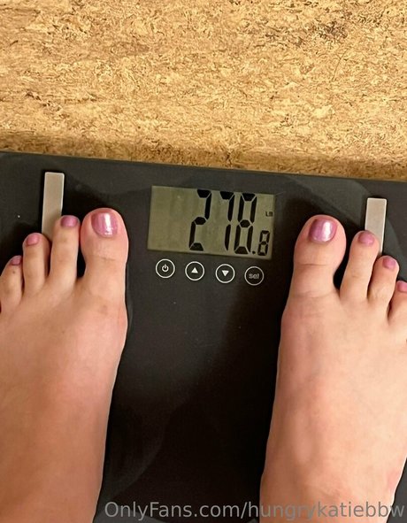 hungrykatiebbw かわいいスター 画像