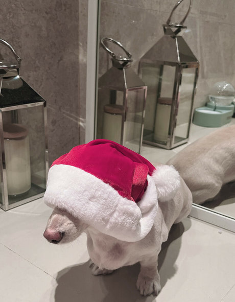 Siw0ns_ セクシーモデル ギャラリー