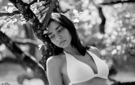 ブルネットの教師OnlyFans 美しい裸 写真