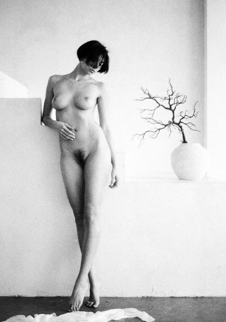 ランジェリーベイビーOnlyFans ヌード 写真