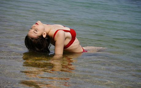 bellachary アートスター アーカイブ