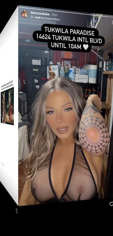 cowgirl babyy ヌードモデル アーカイブ