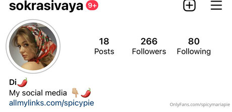 spicymariapie アートモデル 写真