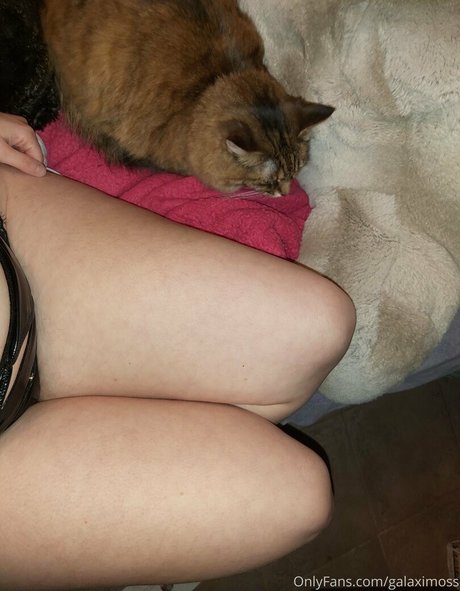 シーンオンリーファン 無料xxx 写真