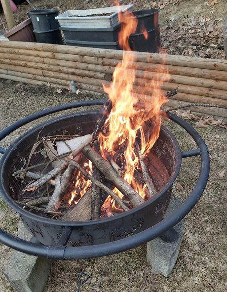 galaximoss 完璧なスター 画像