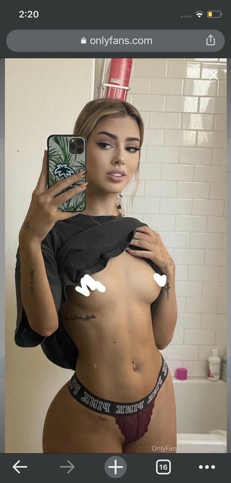 epixemily トップスター 写真