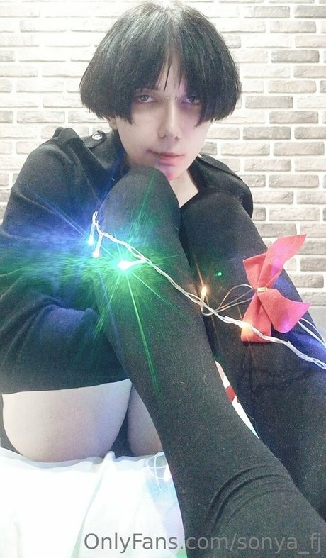 sonya fj HDモデル ギャラリー