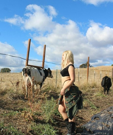 amethystvip セックススター 画像