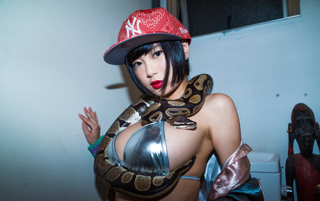 dpandaramu セックスモデル 画像