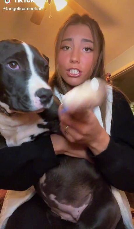 Angelica Meehan 無料女優 画像