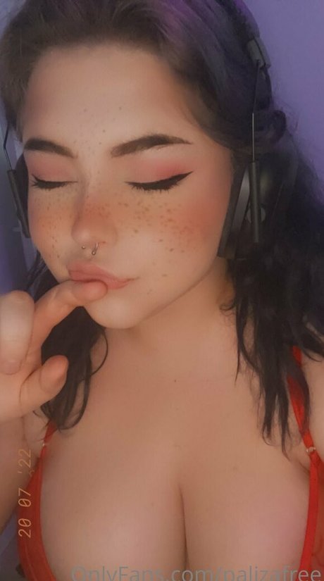 palizafree ホットスター 画像