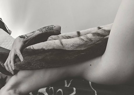 snoot 限定モデル 写真