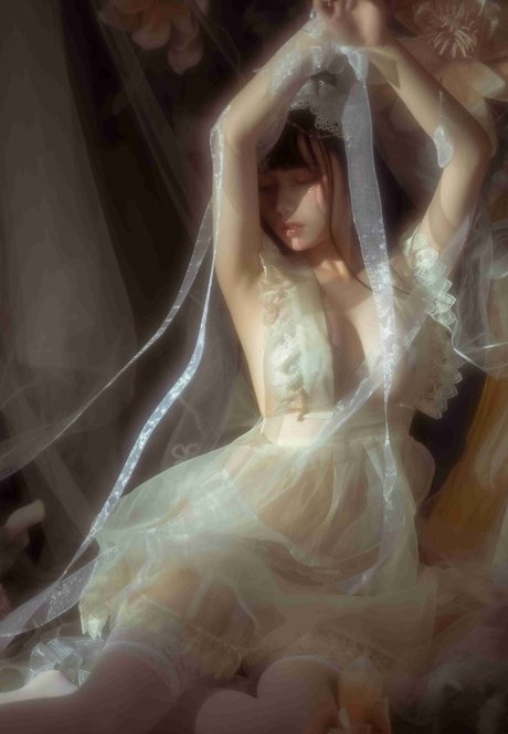 エボニートランスオンリーファンズ トップ 写真