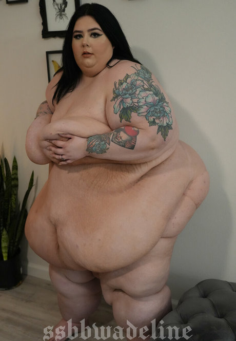 ナイロン足 OnlyFans 美しい ギャラリー