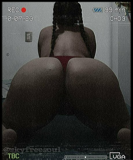 almiibar 最高の女優 アーカイブ